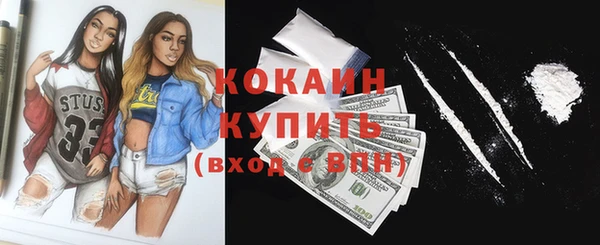 мдпв Осинники