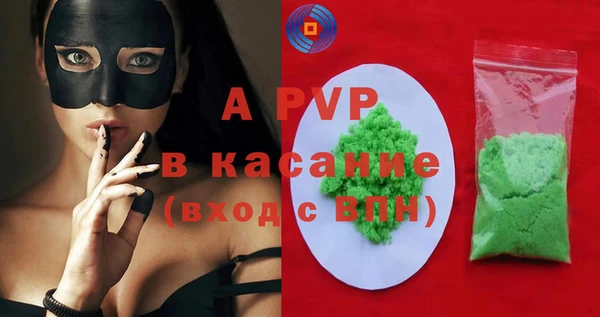 PSILOCYBIN Осташков