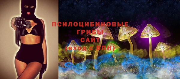 мдпв Осинники