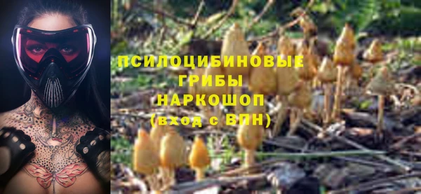 PSILOCYBIN Осташков