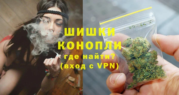 мдпв Осинники